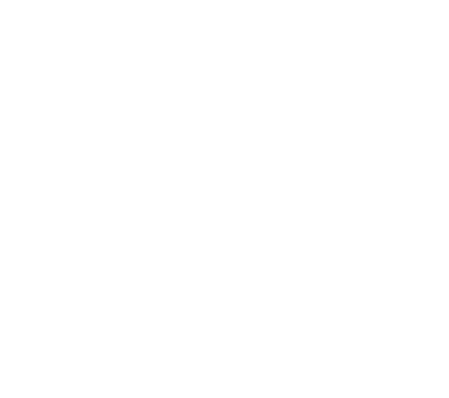 Mamute, desde 1997